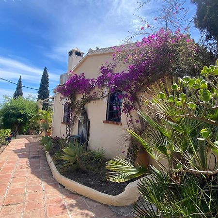 Вилла Antigua Finca De Ayo Y Karina Фрихилиана Экстерьер фото