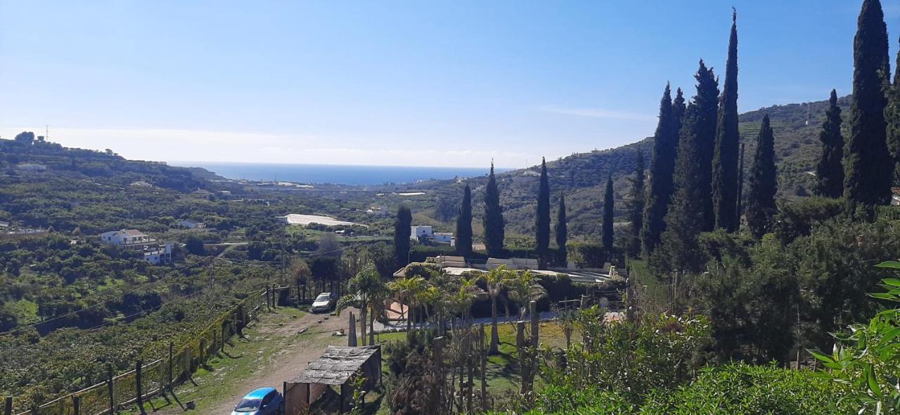 Вилла Antigua Finca De Ayo Y Karina Фрихилиана Экстерьер фото