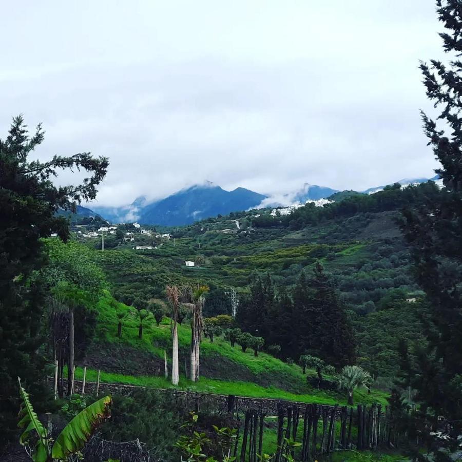 Вилла Antigua Finca De Ayo Y Karina Фрихилиана Экстерьер фото